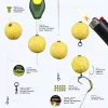 Carp Academy Bait Floss Zöld 4x5mm Csalistopper 20db