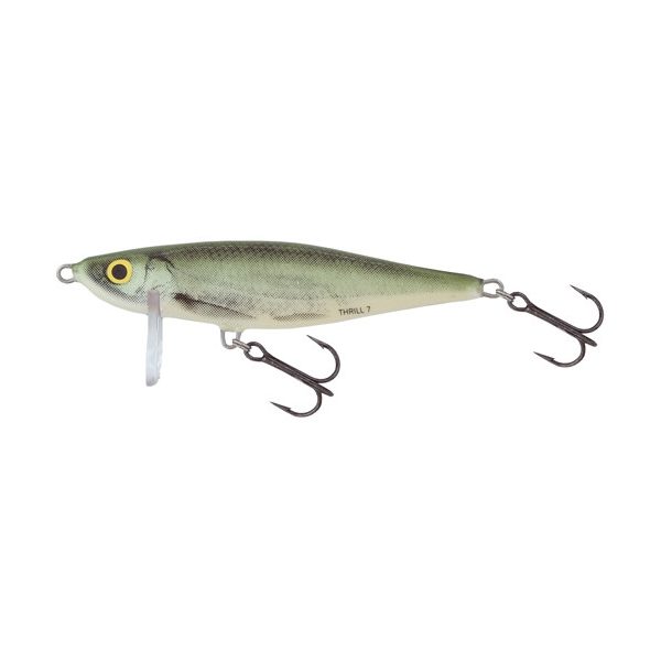 Salmo Wobbler Thrill Wobbler OB 70mm - 13gr