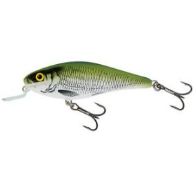 Salmo WOBBLER EXECUTOR IEX5SR OLB Wobbler