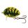Salmo Wobbler Lil Bug Wobbler WSP 20mm - 2,8gr