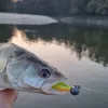 Reiva 0,30mm 40cm Fluorocarbon Onderlijn 2st