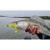 Nevis Impulse Shad 6,3cm 1,77gr 6 st/pk Wit Plastic kunstaas