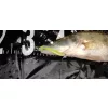 Reiva Zander Power Shad 10cm 7,05gr 4 st/verpakking (Groene Glitter) Plastic kunstaas