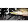 Reiva Zander Power Shad 8cm 3,18gr 5 st/verpakking (Zwart Zilver) Plastic kunstaas