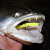 Reiva Flash Shad 10cm 4 st/pk Plastic kunstaas