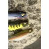 Black Cat Mega Curl Tail Shock Perch 22cm 29gr Plastic Kunstaas