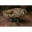 Carp Porter karper accessoires