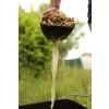 Fox Baiting Spoons Particle Baiting Spoon Voerlepel