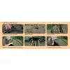 Fox Frontier XD Tent