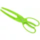 Carp Zoom Halfogó Olló Halpucoláshoz 25cm