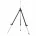 Carp Zoom standaards, tripods
