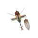 Duo Realis Shinmushi 4,0cm 5,7gr CCC3264 Mesmer Eyes Insect Imitatie