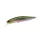 Duo Realis Jerkbait 100SP 10cm 14,5gr DTA3345 AM Hasu Zwevende Plug