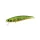 Duo Spearhead Ryuki 71S 7,1cm 10gr ADA4059 Green Gold OB Zinkende Wobbler