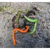 Iron Claw Drop Stuff Crawler CH 7,5cm Plasztik Csali 22db