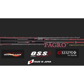   Graphiteleader Nouvo Pagro Cast GNPC-6102L-S R Fast 2,05m 100gr 2-delige Spinning Hengel