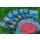 Guru Maggot Feeder Mini Madenkorf 30gr