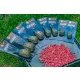 Guru Maggot Feeder Mini Madenkorf 30gr