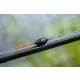 Guru Skimmer Wire 2,5gr Wedstrijd Dobber