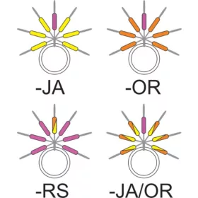   Garbolino - STREAMLINE STIX LINE VISUALIZER - Kleine artikelen - Stopper - Forel rubber stopper