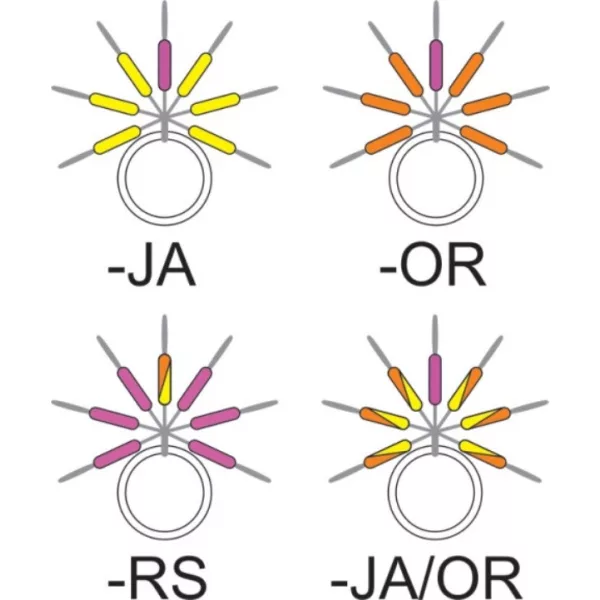 Garbolino - STREAMLINE STIX LINE VISUALIZER - Kleine artikelen - Stopper - Forel rubber stopper