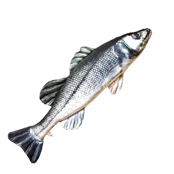 EnergoTeam The European Sea Bass 70cm Viskussen