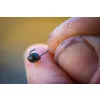 Guru Match Special Rig 12 Voorgeknoopte monofilament haak met weerhaak en oog 8 stuks