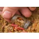 Guru Window Feeder XS Vensterkorf 40+50gr - Verwisselbaar gewicht