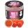 Haldorádó Max Motion Boilie Pop Up Spaanse Pinda 50gr 16-20mm Boilie