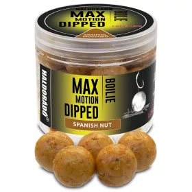   Haldorádó Max Motion Boilie Dipped Spaanse Pinda 100gr 20mm Boilie