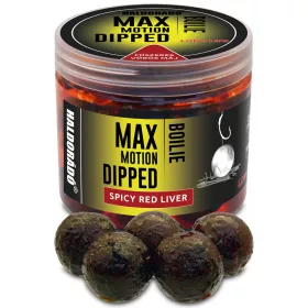   Haldorádó Max Motion Boilie Dipped Gekruide Rode Lever 100gr 20mm Boilie