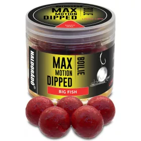  Haldorádó Max Motion Boilie Dipped Grote Vis 100gr 20mm Boilie