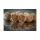HNV Baits GLM Liver Soluble Oplosbare Boilie 24mm 1kg