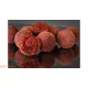 HNV Baits Aardbei Shake Oplosbaar Boilie 24mm 1kg