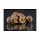 HNV Baits The Code 20mm Boilie 1kg
