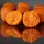 HNV Baits Fruits & Nuts Soluble Big Balls Hookbaits 30mm Oplosbaar Haakaas 165gr