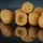 HNV Baits Sweet Nuts Soluble Big Balls Hookbaits 30mm Oplosbaar Haakaas 165gr