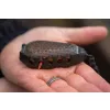 Korum Bait Gripper Feeder Etetőkosár 120gr