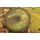 Korda Kamo gecoate Hooklink 80lb