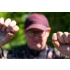 Korda Longshank Beaked 2 Boiliehaak met oog en weerhaak 10 stuks