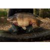 Korda Compac Hybrid Mat Olive 125x85x14cm Karpermat