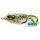 Livetarget Frog Walking Bait Groen/Geel 4,5cm 7gr Kikker kunstaas
