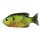 Livetarget Sunfish Walking Bait Fluorescerend Pumpkinseed 7,5cm 12gr Zonnebaars Kunstaas