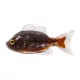 Livetarget Sunfish Unrigged Bruin-Zwart 8,5cm Rubber Zonnevis 4st