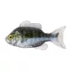 Livetarget Zonnevis Ongetuigd Groen-Parel 8,5cm Rubber Zonnevis 4 stuks