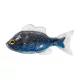 Livetarget Sunfish Unrigged Zilver-Blauw 8,5cm Rubber Zonnevis 4st