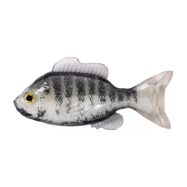 Livetarget Zonnevis Ongemonteerd Wit-Albino 8,5cm Rubberen Zonnevis 4 stuks
