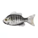 Livetarget Zonnevis Ongemonteerd Wit-Albino 8,5cm Rubberen Zonnevis 4 stuks