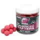 Mainline High Impact Balanced Wafter Salty Squid - 15mm - wafters boilie