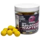 Mainline High Imp. Balanced Wafters Essential IB -12mm - wafters boilie